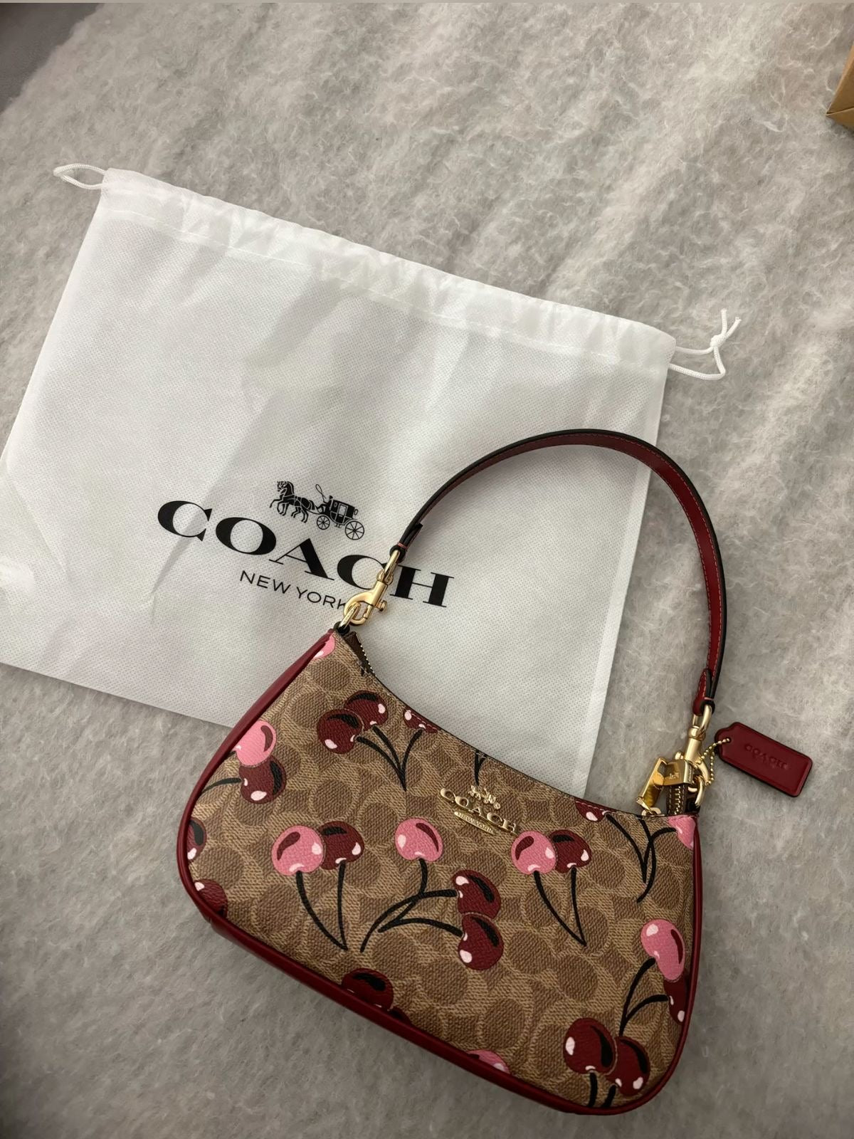 Coach Teri in Cherry with Brand Box-Same as Original