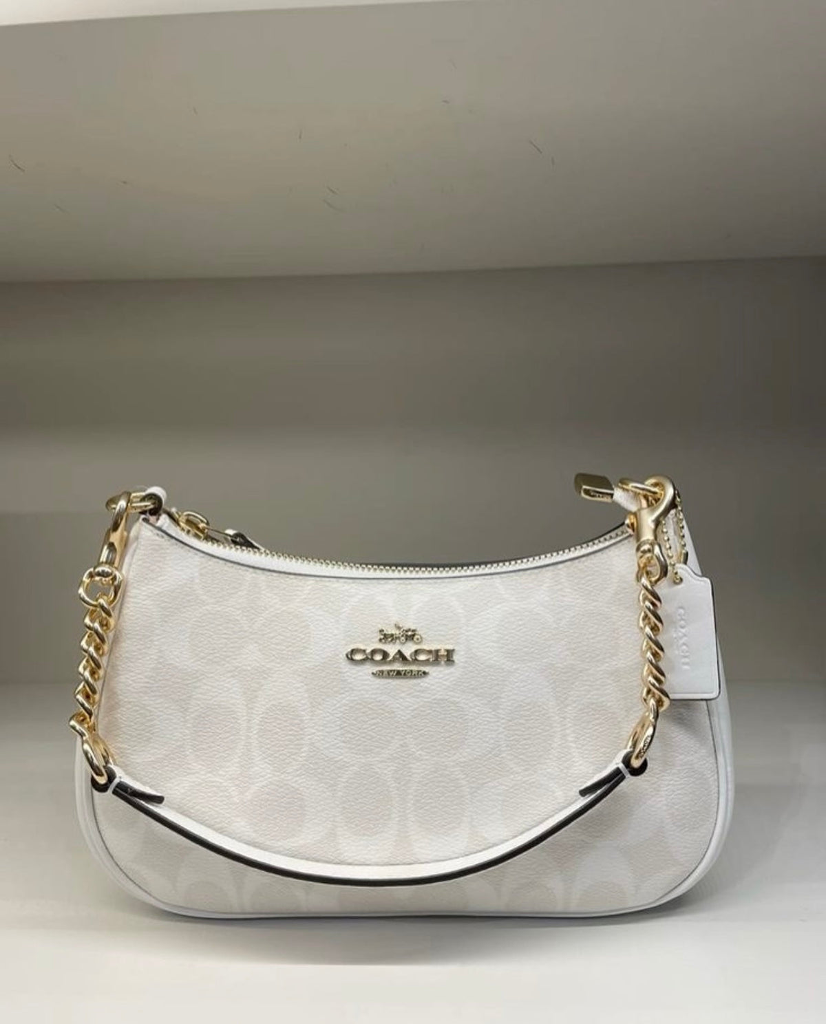 Coach Teri with Brand Box & Dust Bag- Same as Original