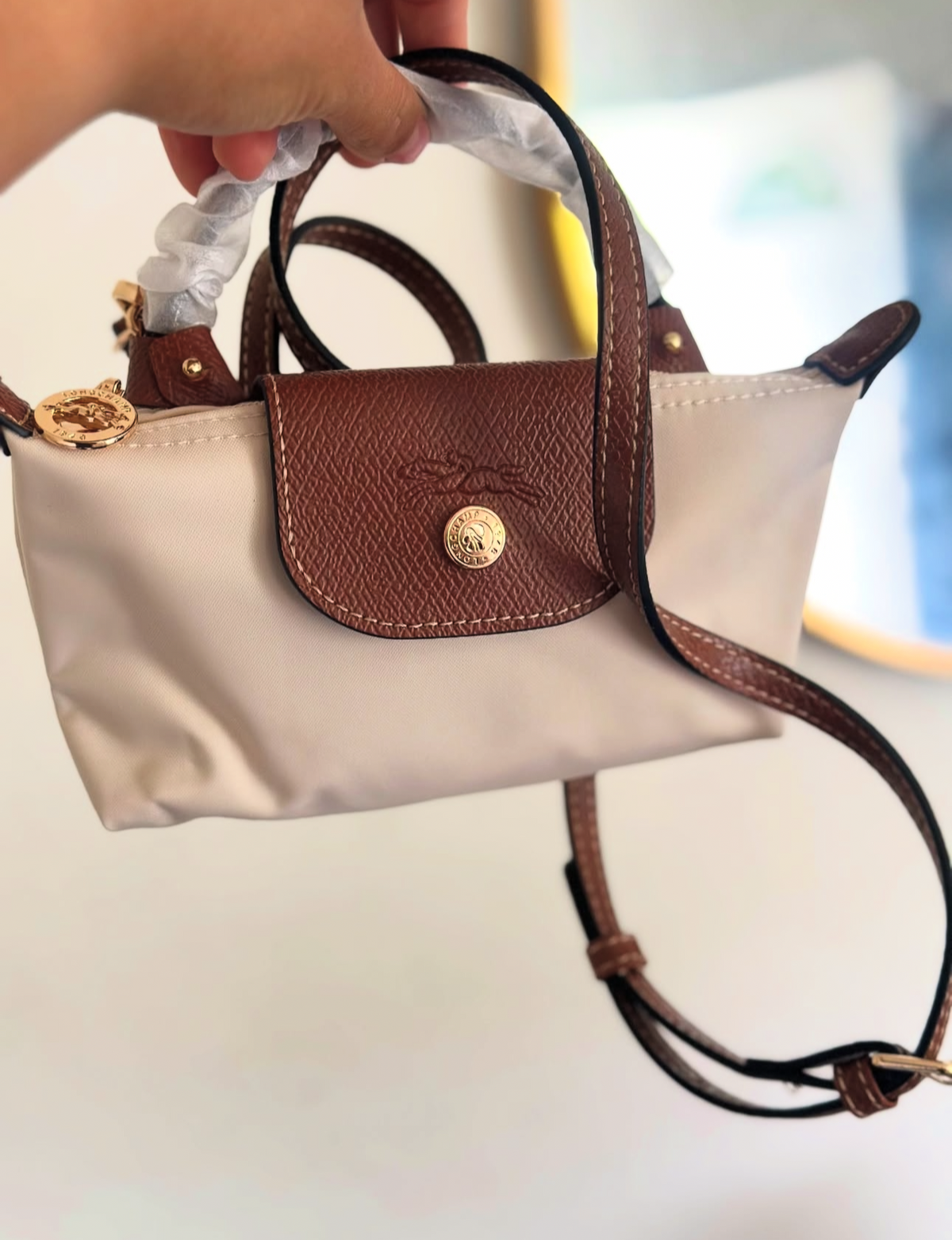 Long Champ Mini