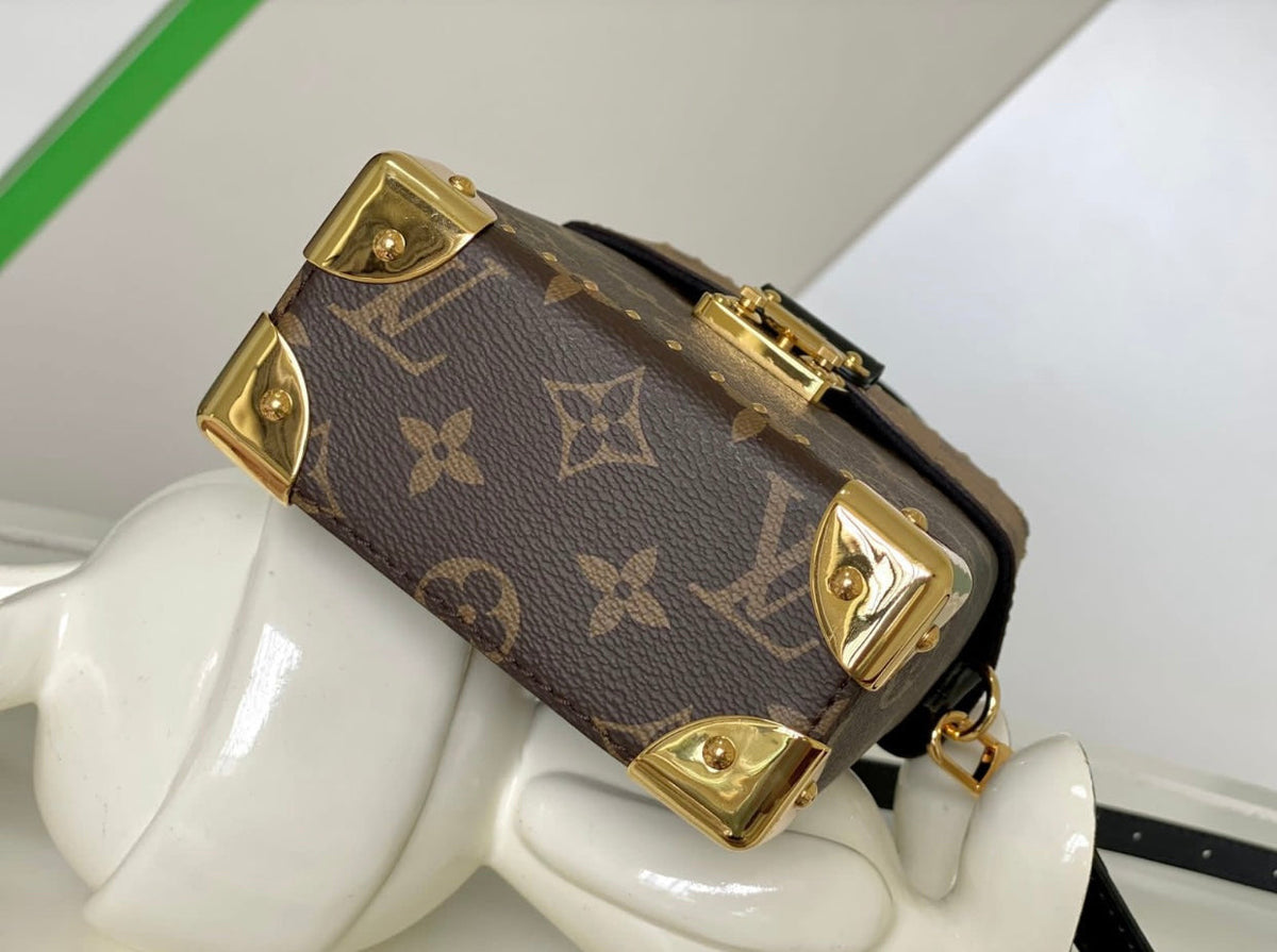 LV Box Bag