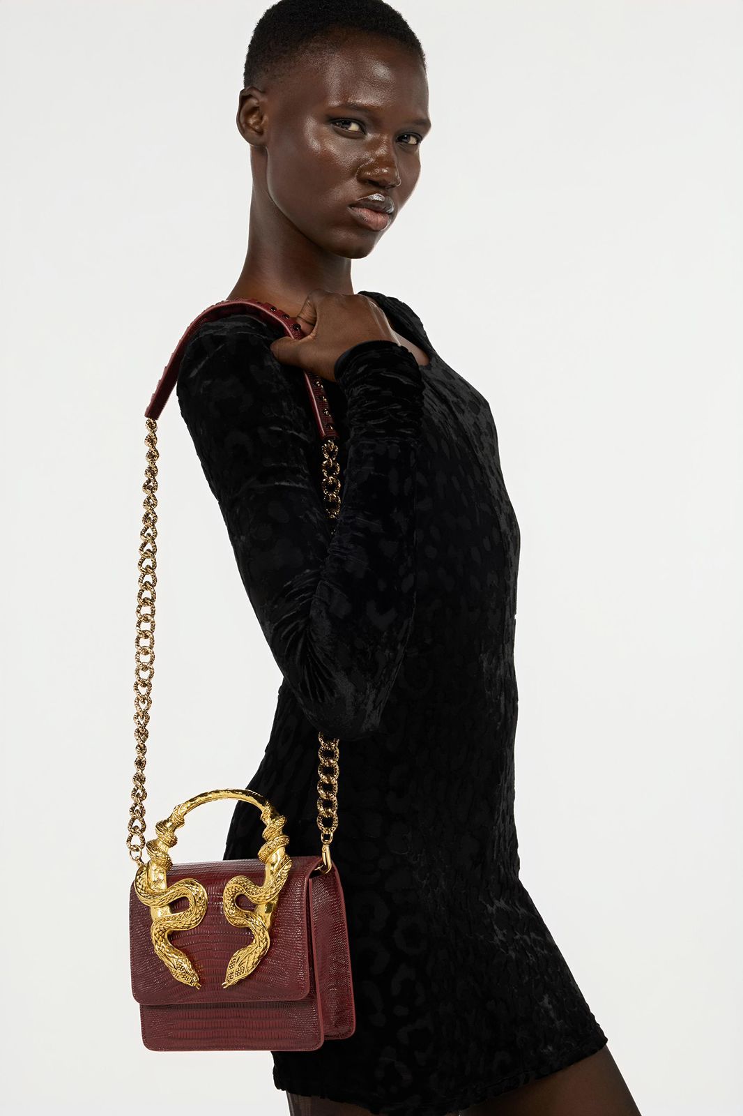 Roberto Cavalli Snake Embellished Handbag with Box