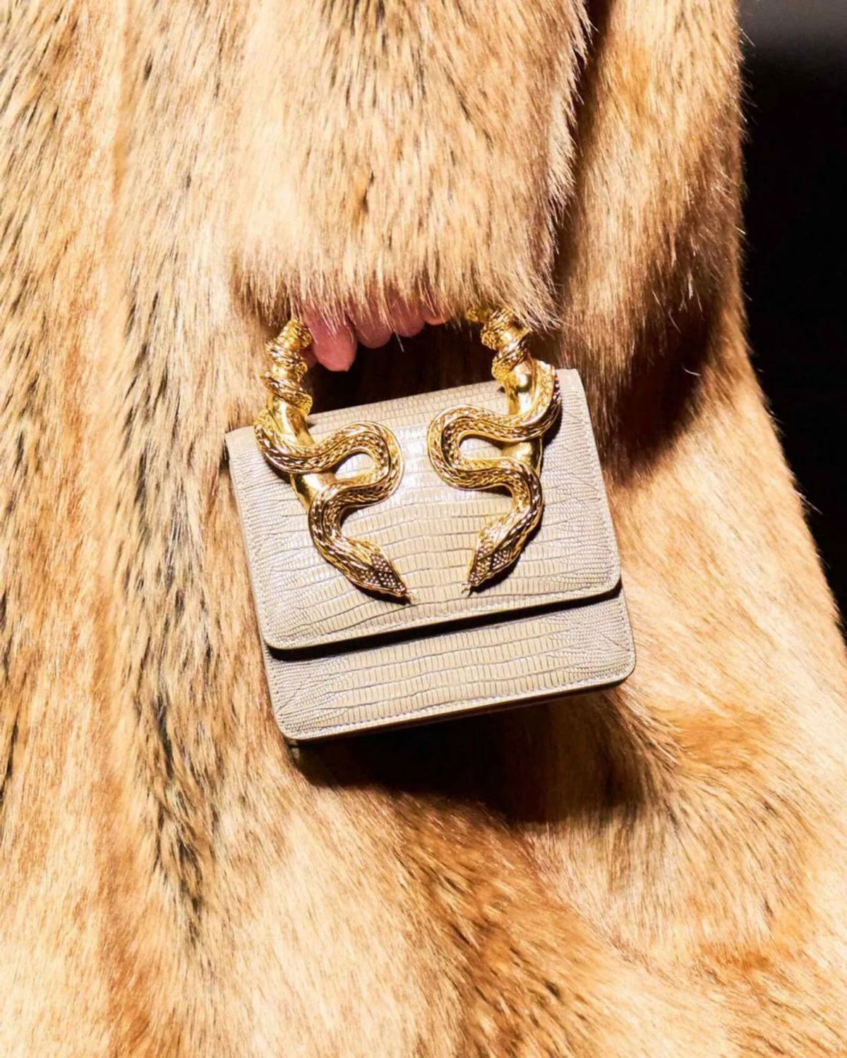 Roberto Cavalli Snake Embellished Handbag with Box
