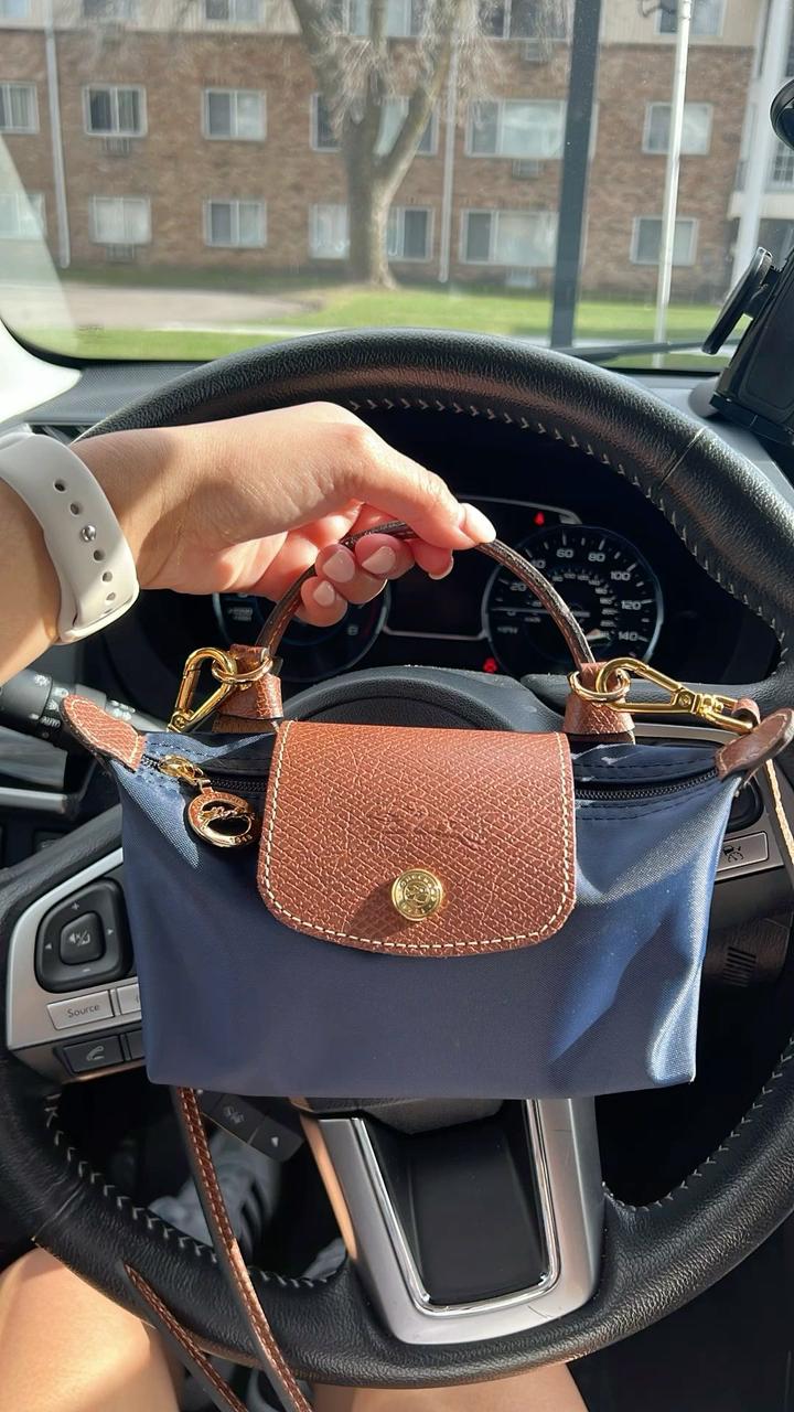 Le Pliage Original Small Bag with Handle with Box