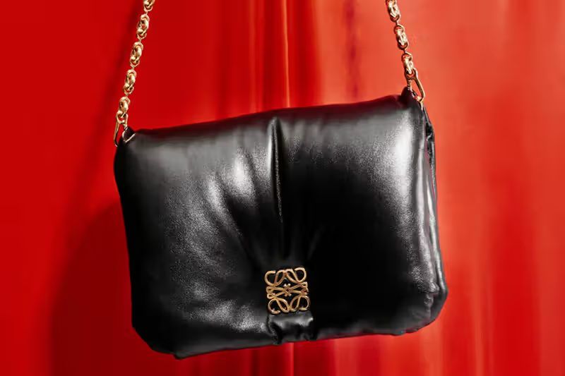 LOEWE Puffer Goya Padded | Leather Shoulder Bag with Box