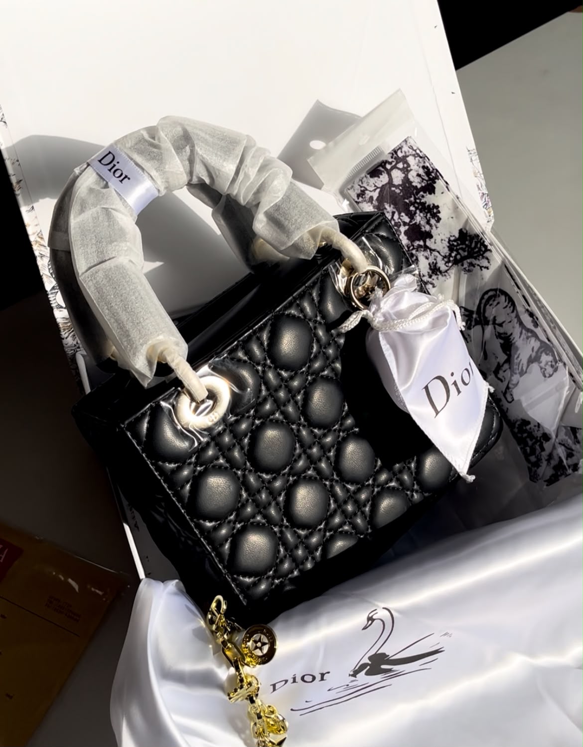 Dior Lady Bag with Box